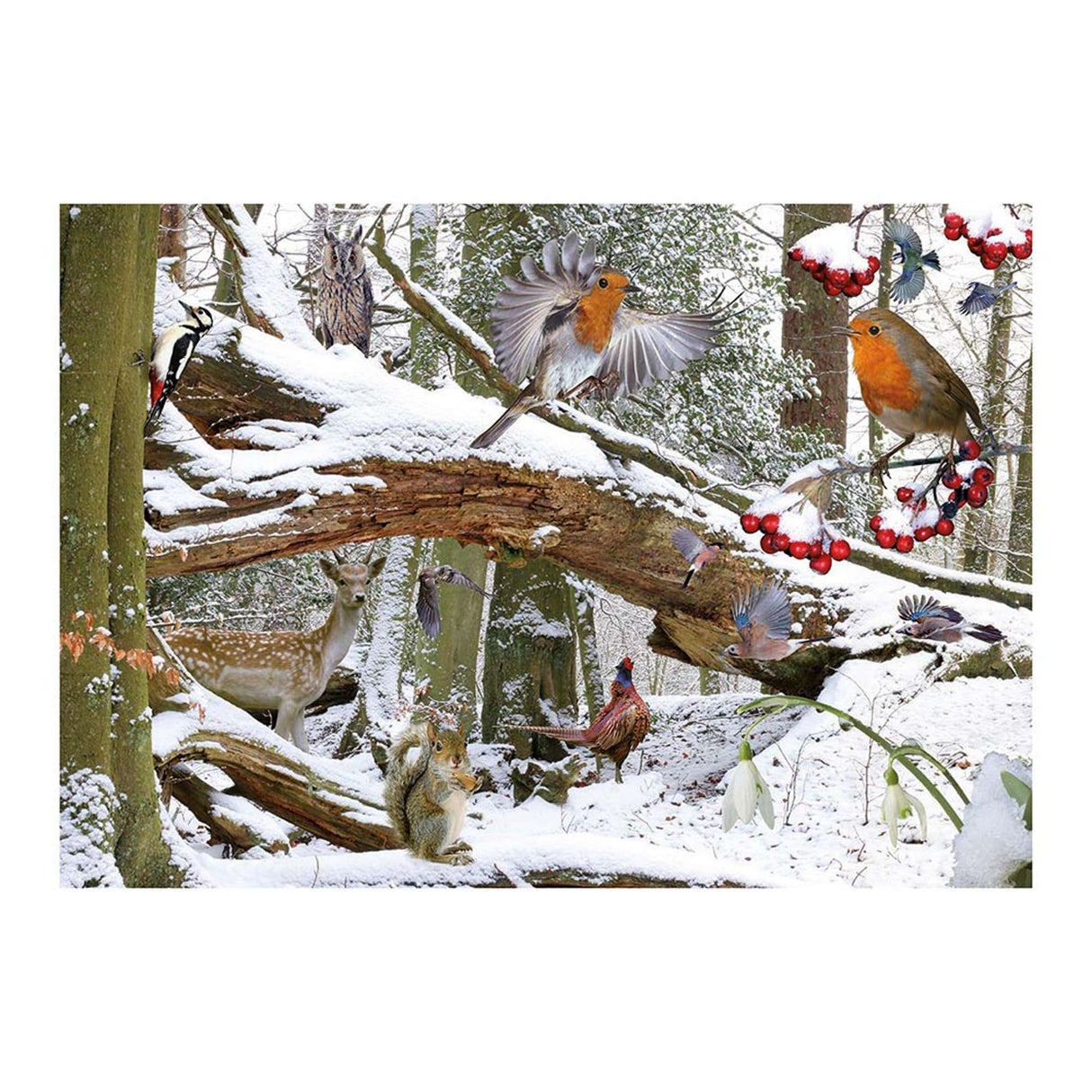 Winter Wood - 500 Piece Jigsaw Puzzle - DAMAGED BOX