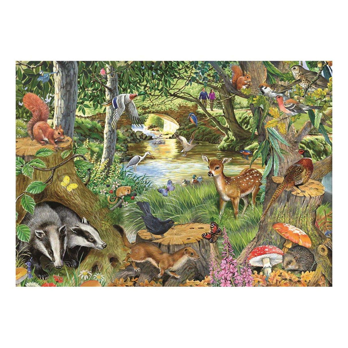 Riverside Glade - BIG 500 Piece Jigsaw Puzzle