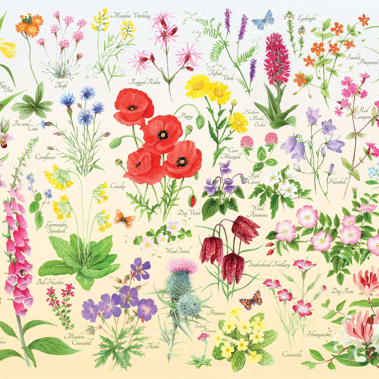 Wildflowers Puzzle Tube - 150 Piece