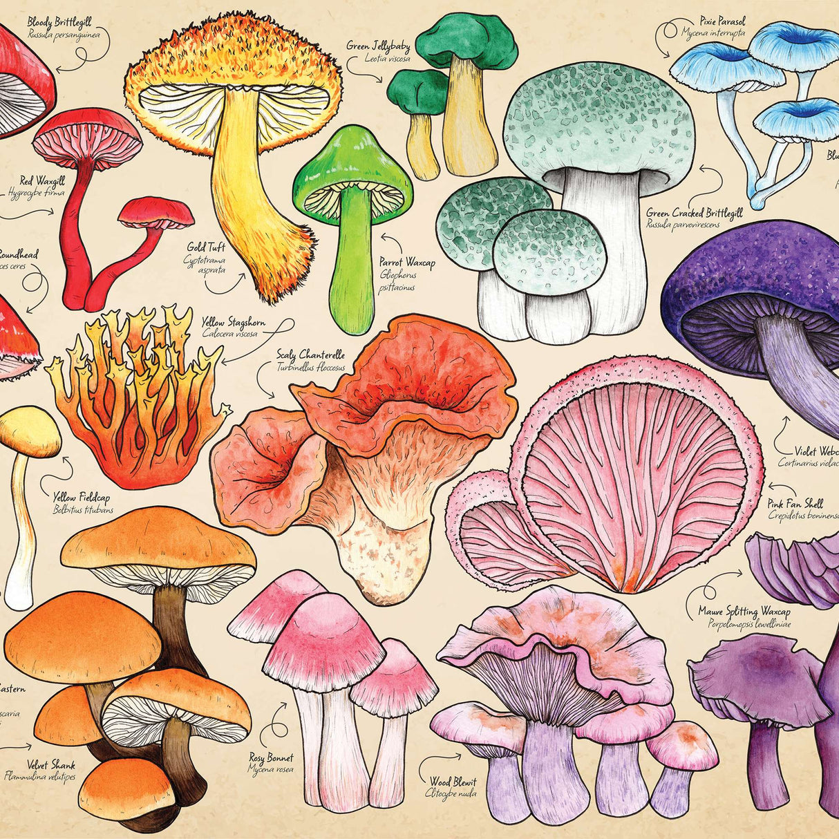 Mushroom Mania Puzzle Tube - 150 Piece
