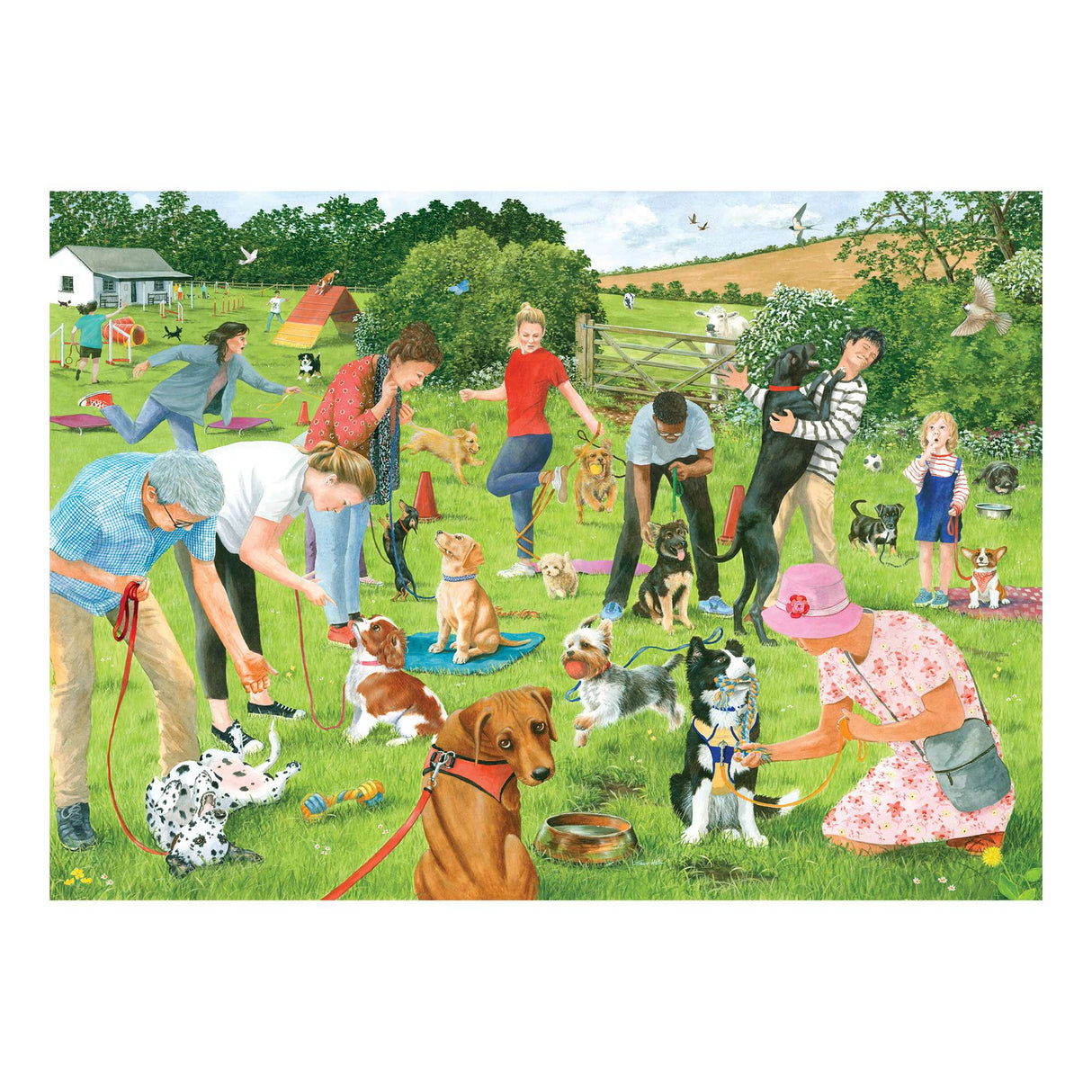Puppy School 500 Piece Puzzle - Damaged Box