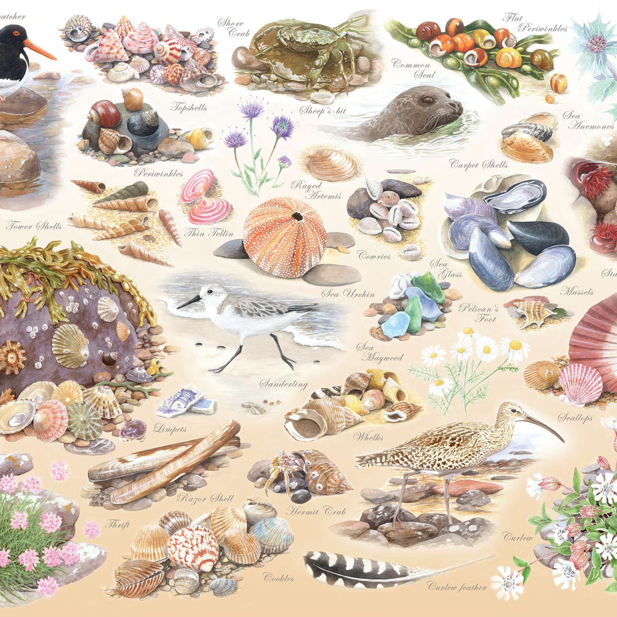 Sea Shore BIG 500 Puzzle