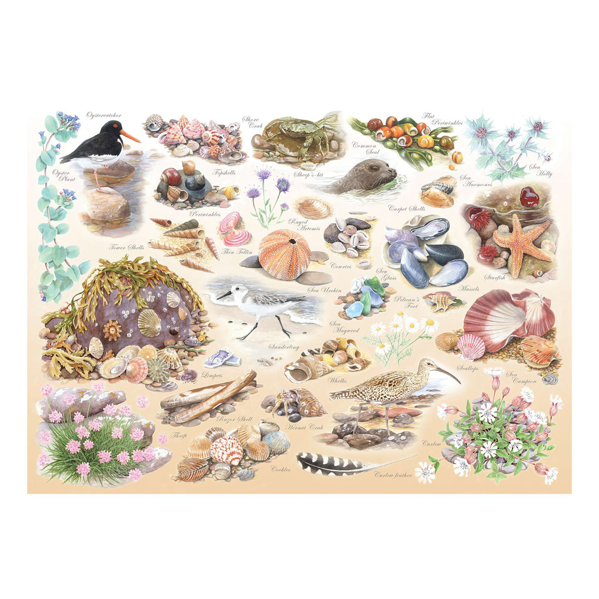 Sea Shore BIG 500 Puzzle