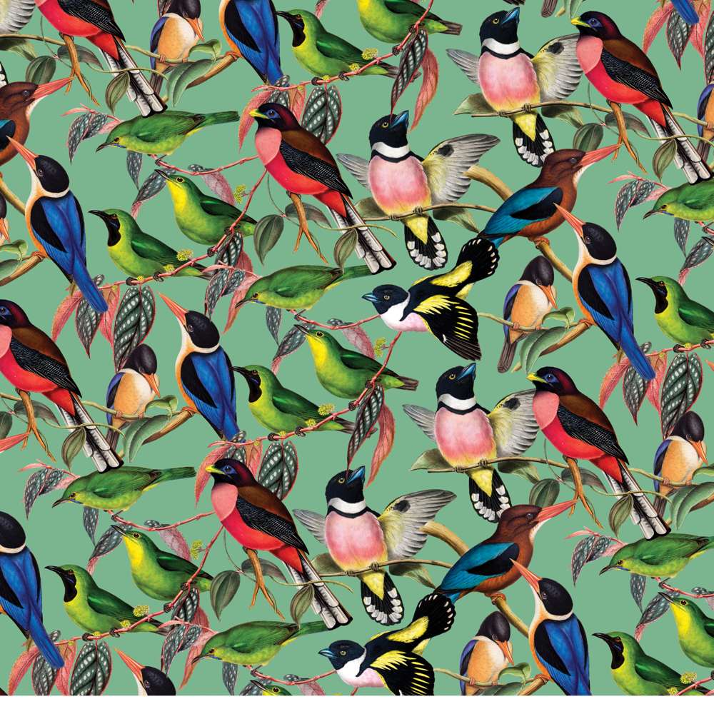 The House of Puzzles ZSL Brilliant Birds 1000 Piece Puzzle- Animal Jigsaw