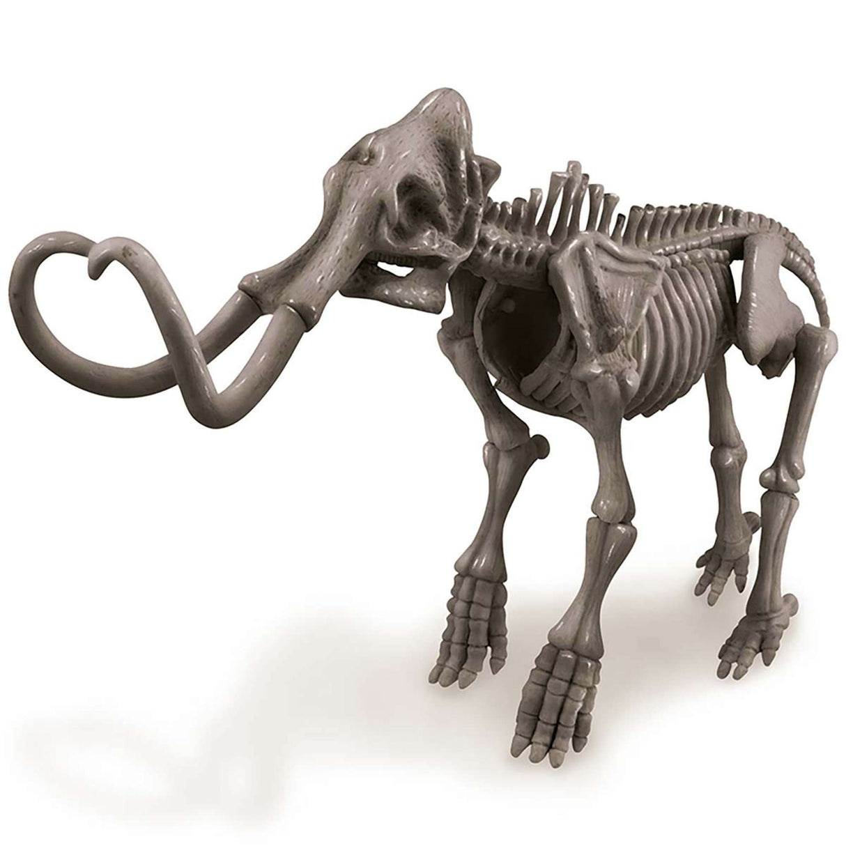 KidzLabs - Dig a Mammoth Skeleton