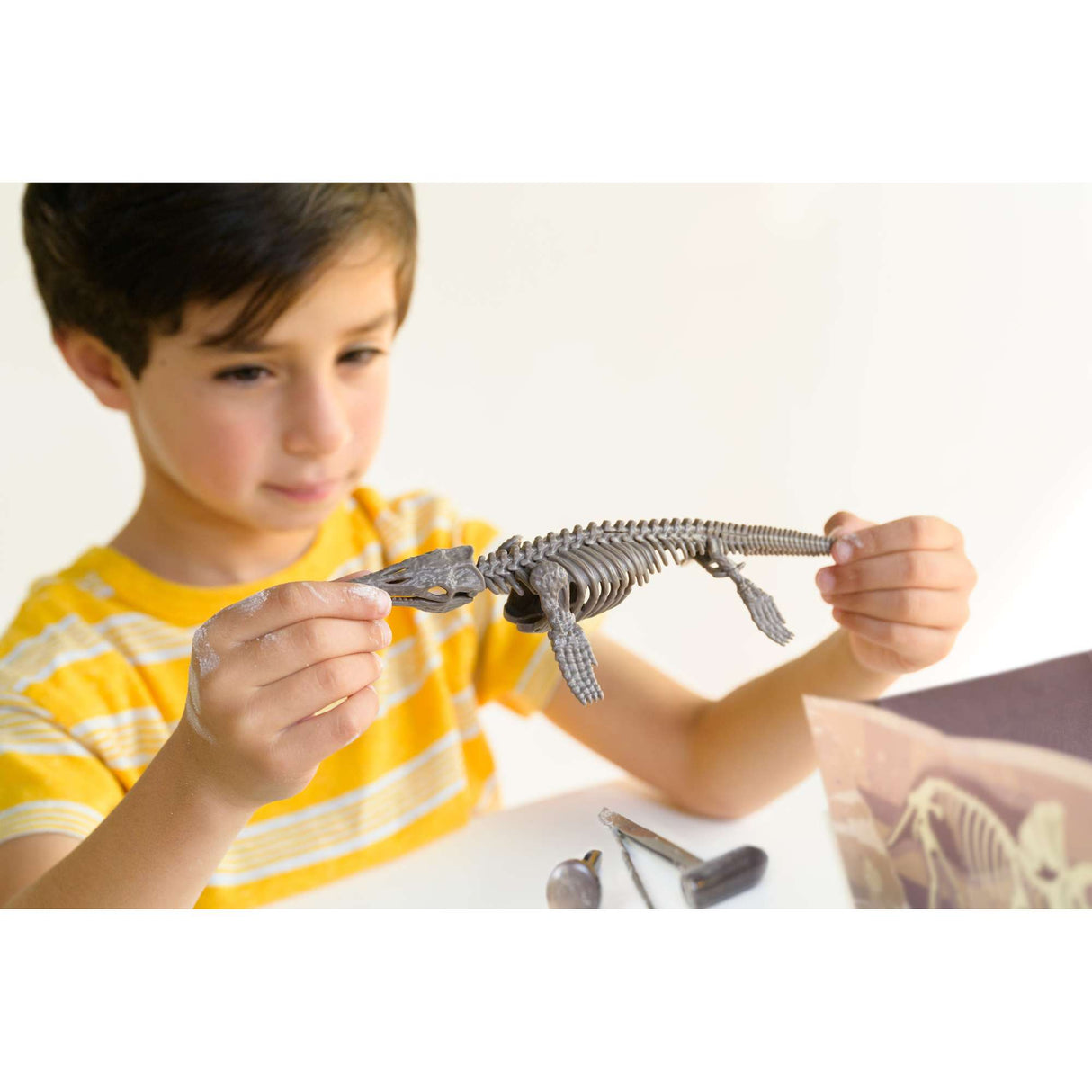 KidzLabs - Dig A Mosasaurus Skeleton