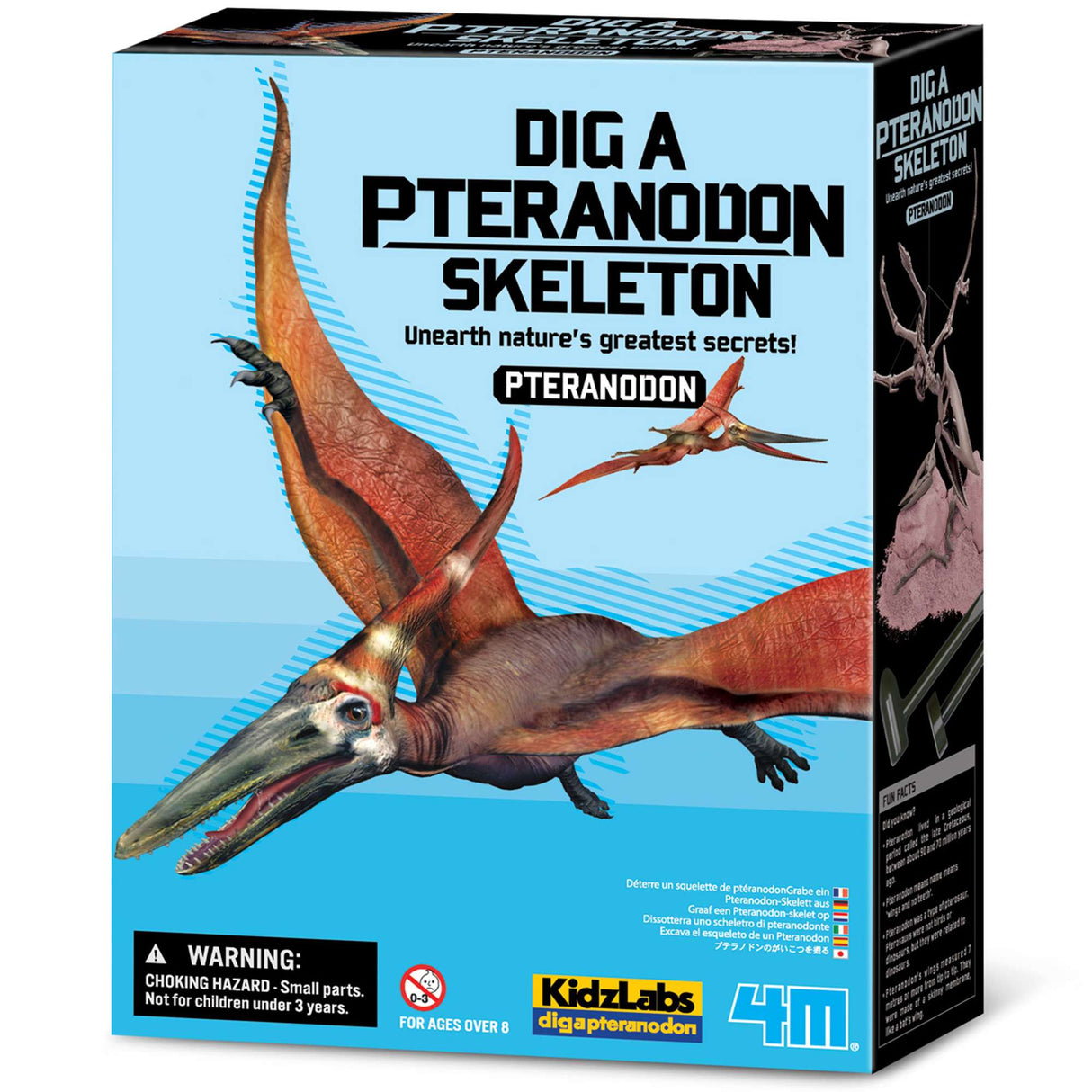 KidzLabs - Dig a Pteranodon Skeleton