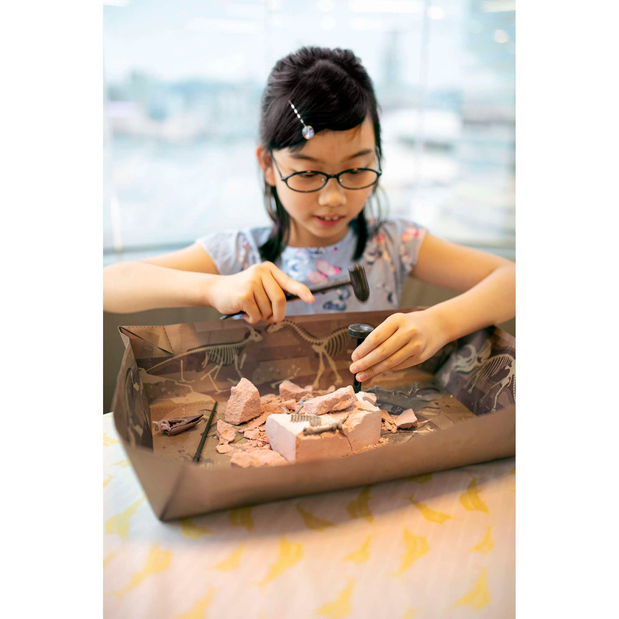 KidzLabs - Dig a Pteranodon Skeleton