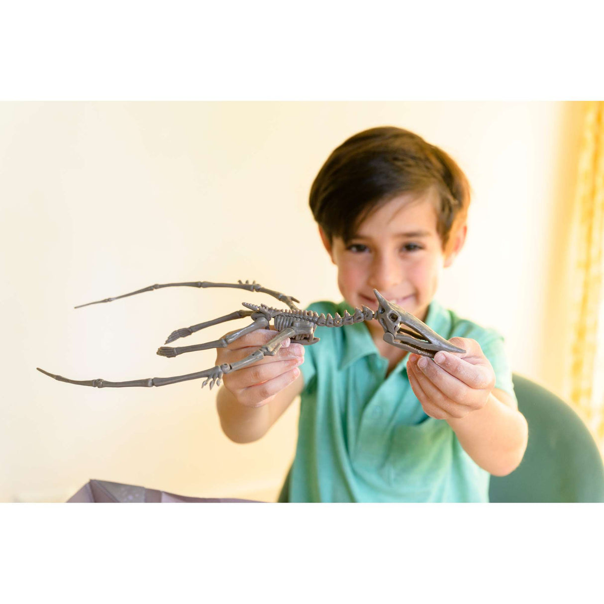 KidzLabs - Dig a Pteranodon Skeleton