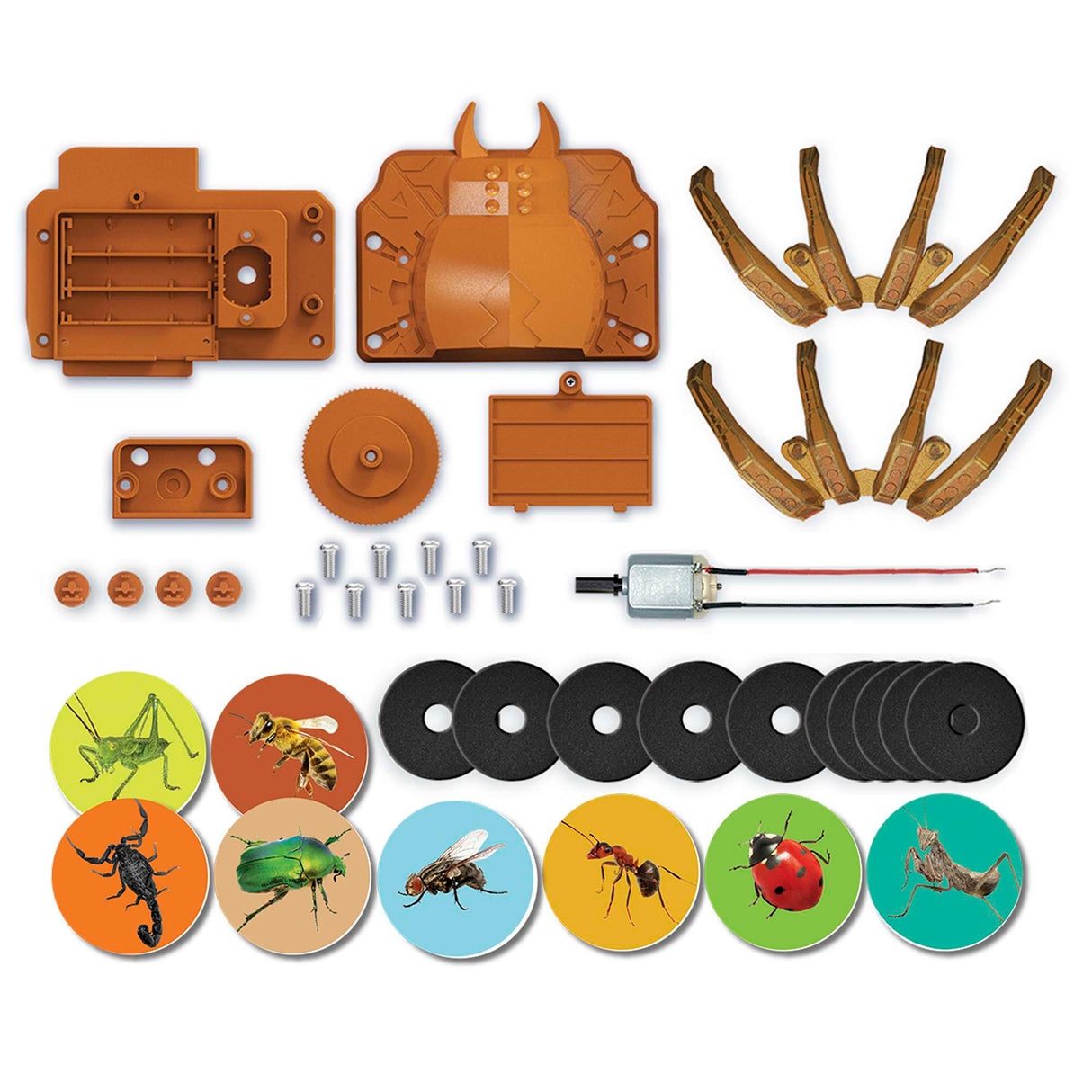 KidzRobotix - Disc Launcher SpiderBot