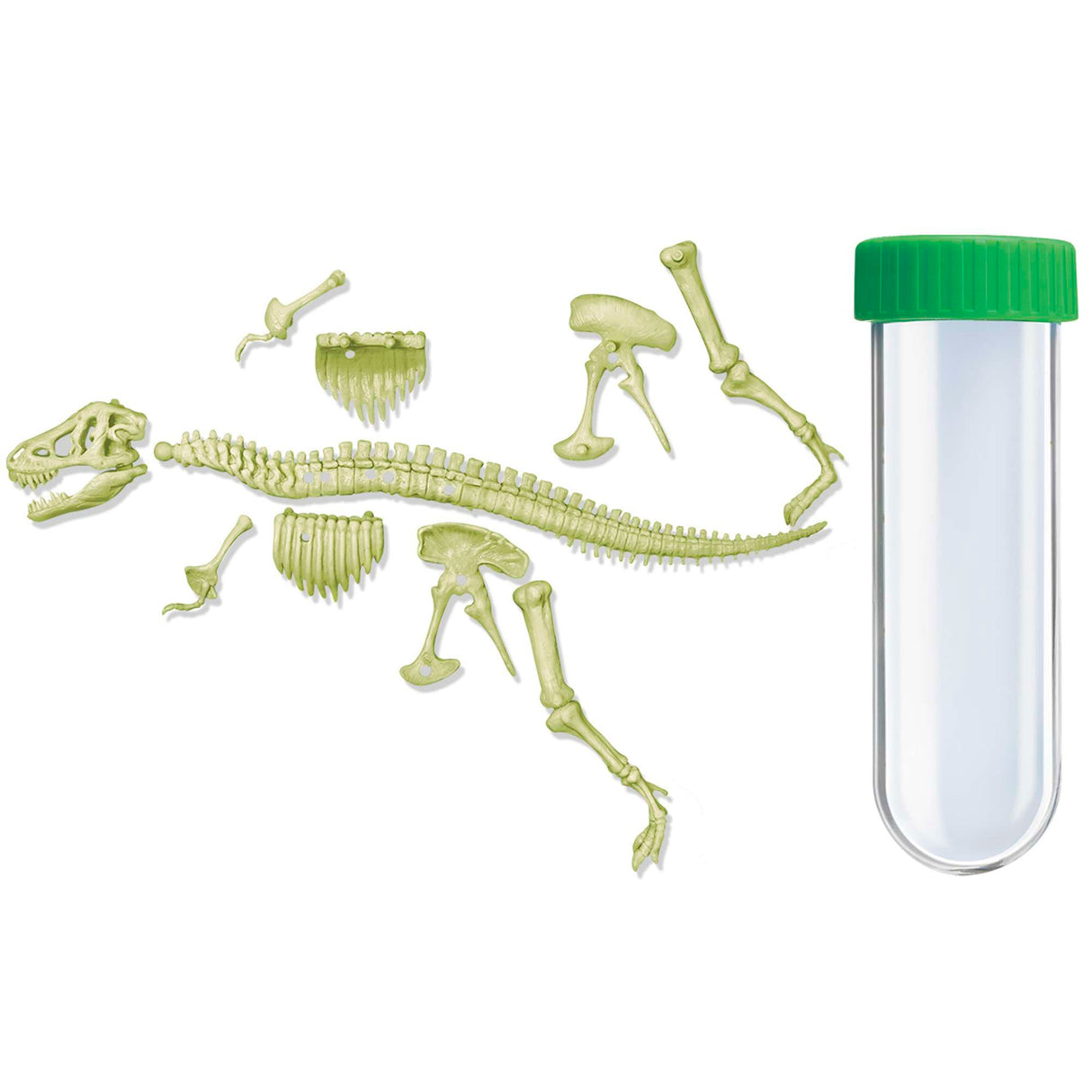 Kidzlabs - Glowing T-Rex Skeleton