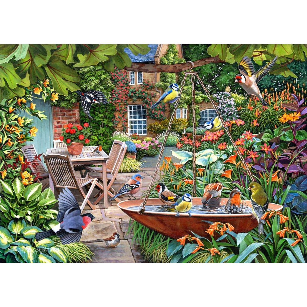 Splashing Around - 1000 Piece Jigsaw Puzzle - DAMAGED BOX