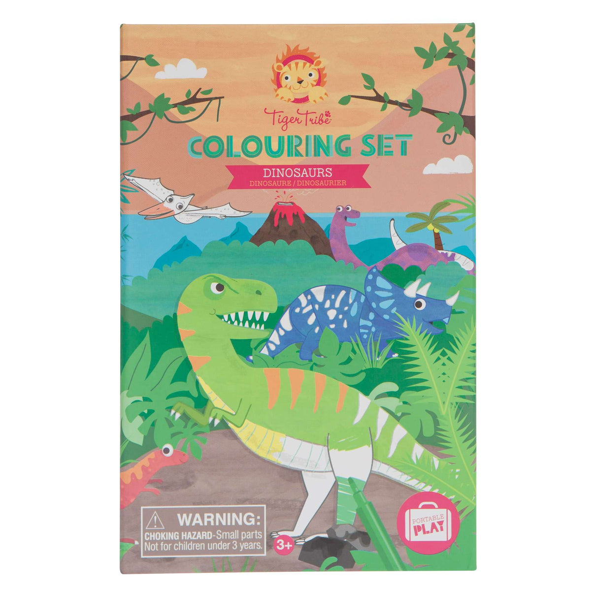 Colouring Set - Dinosaur