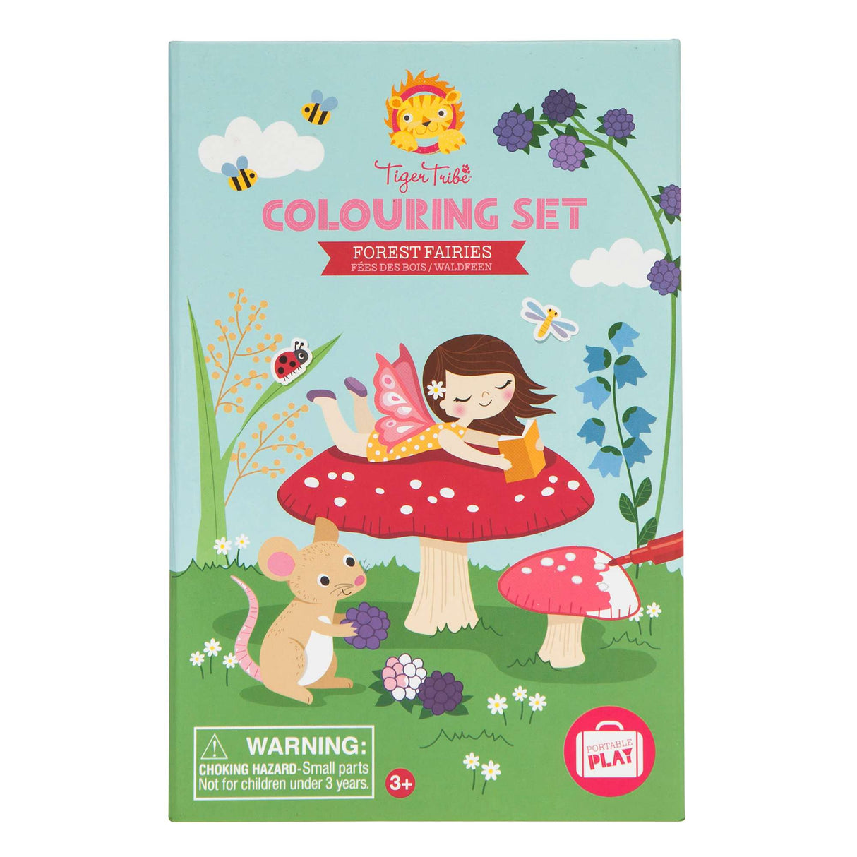 Colouring Set - Forest Fairies