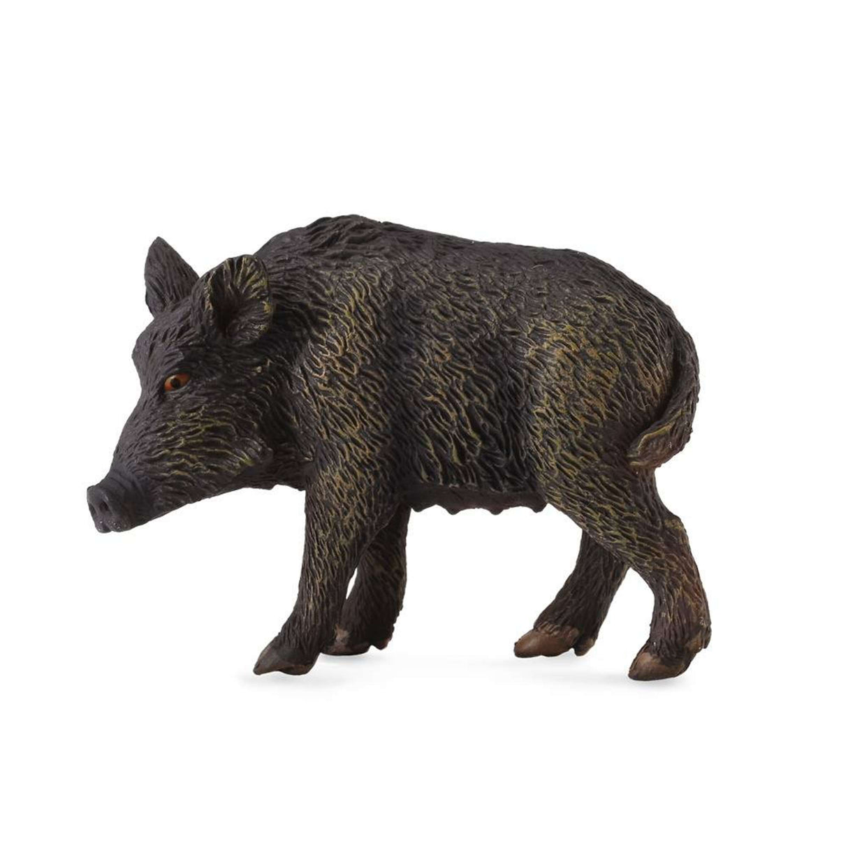 Wild Sow