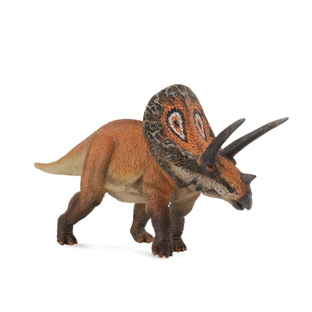 Torosaurus