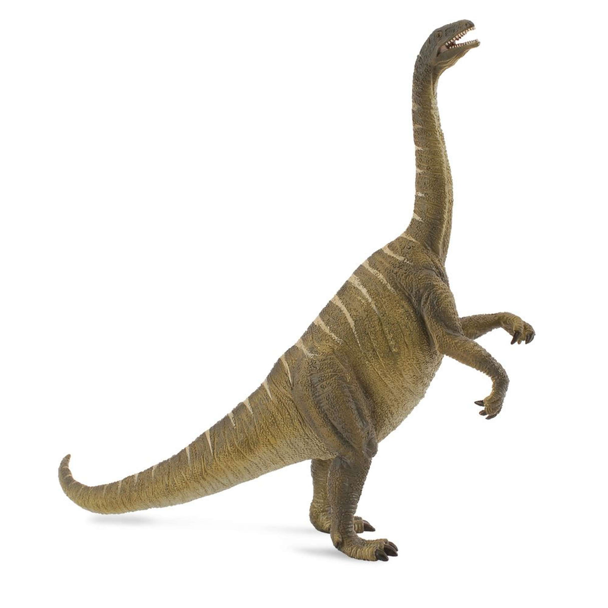 Plateosaurus