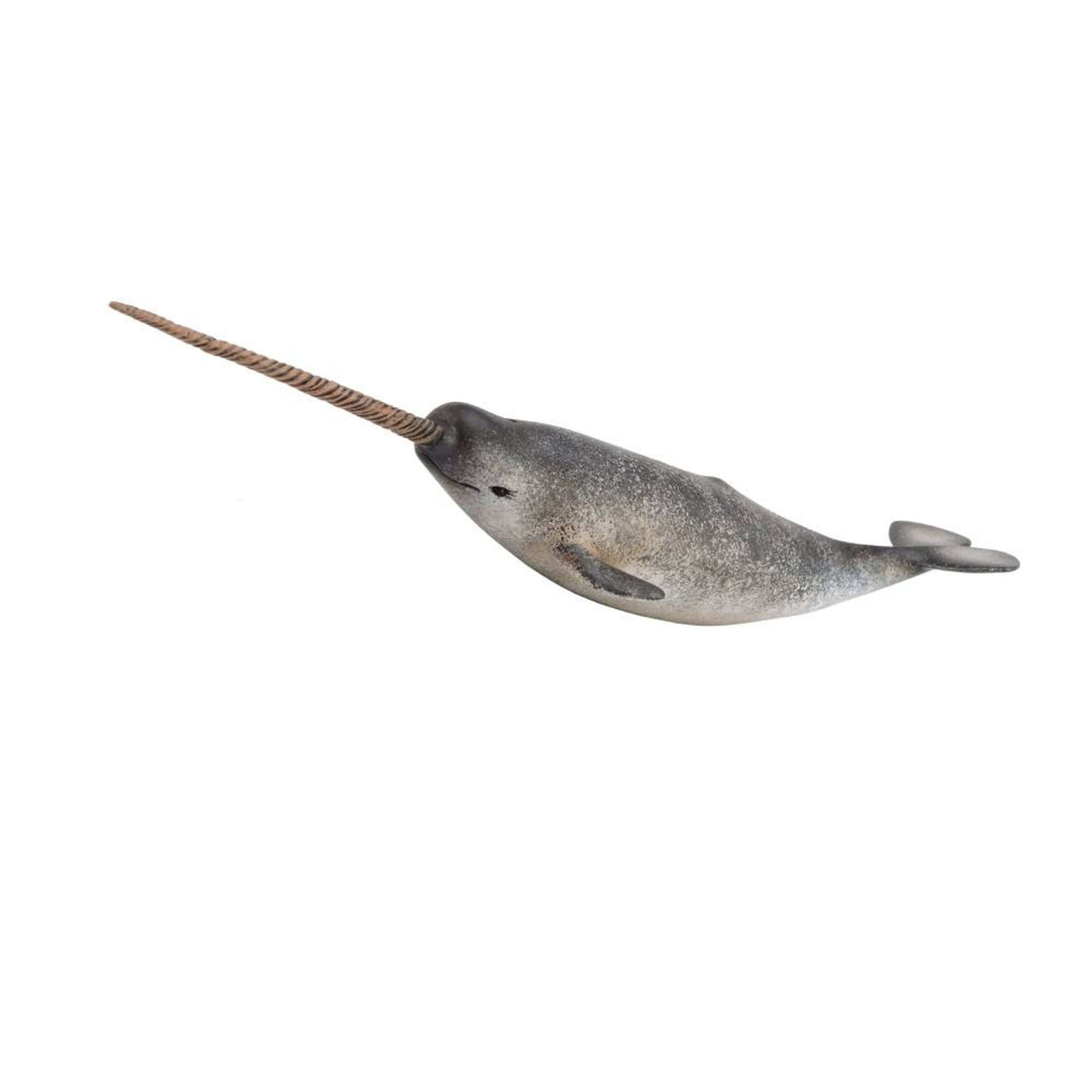 Narwhal