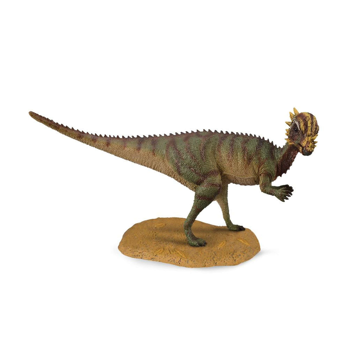 Pachycephalosaurus