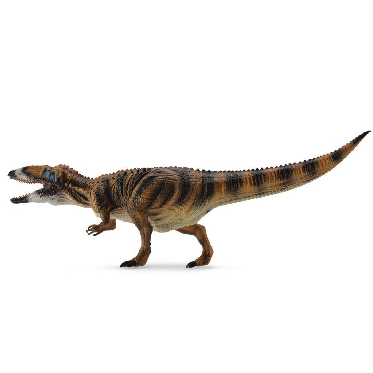 Carcharodontosaurus 1:40 (Deluxe)