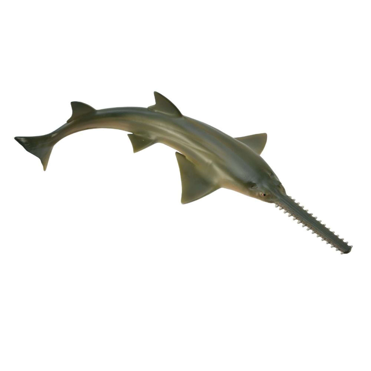 Sawfish