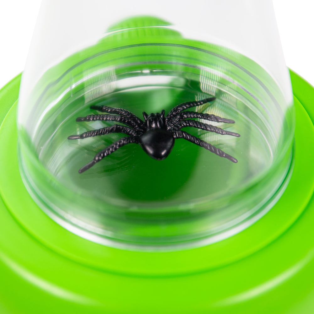 Multi View Magnifier