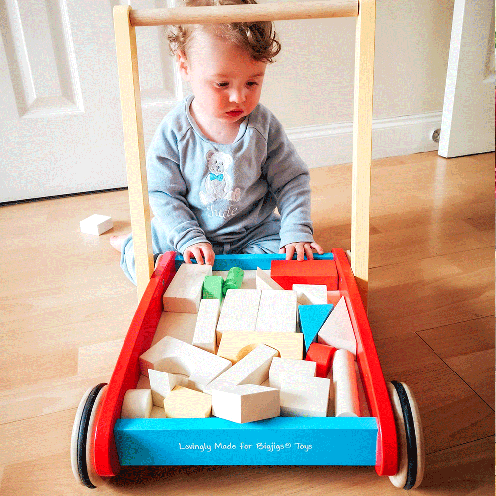 Baby Walker