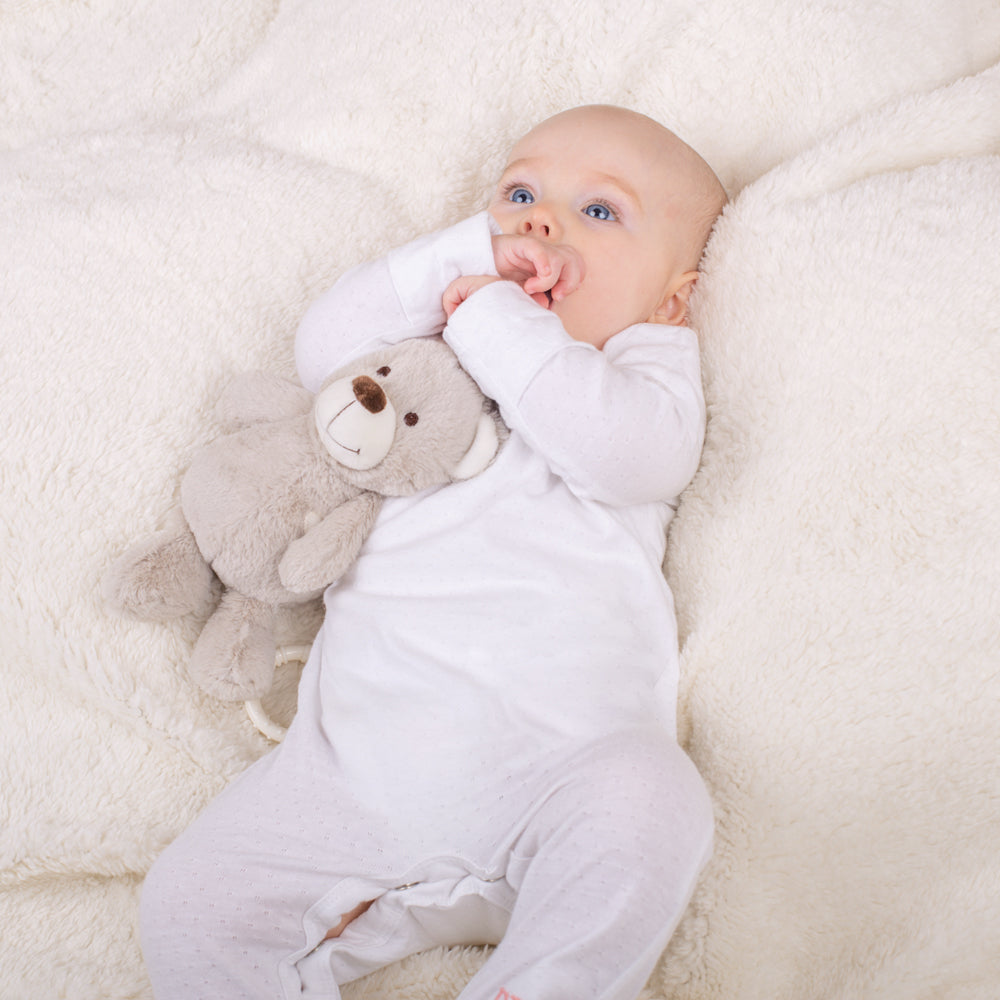 Buddy Bear - Lullaby