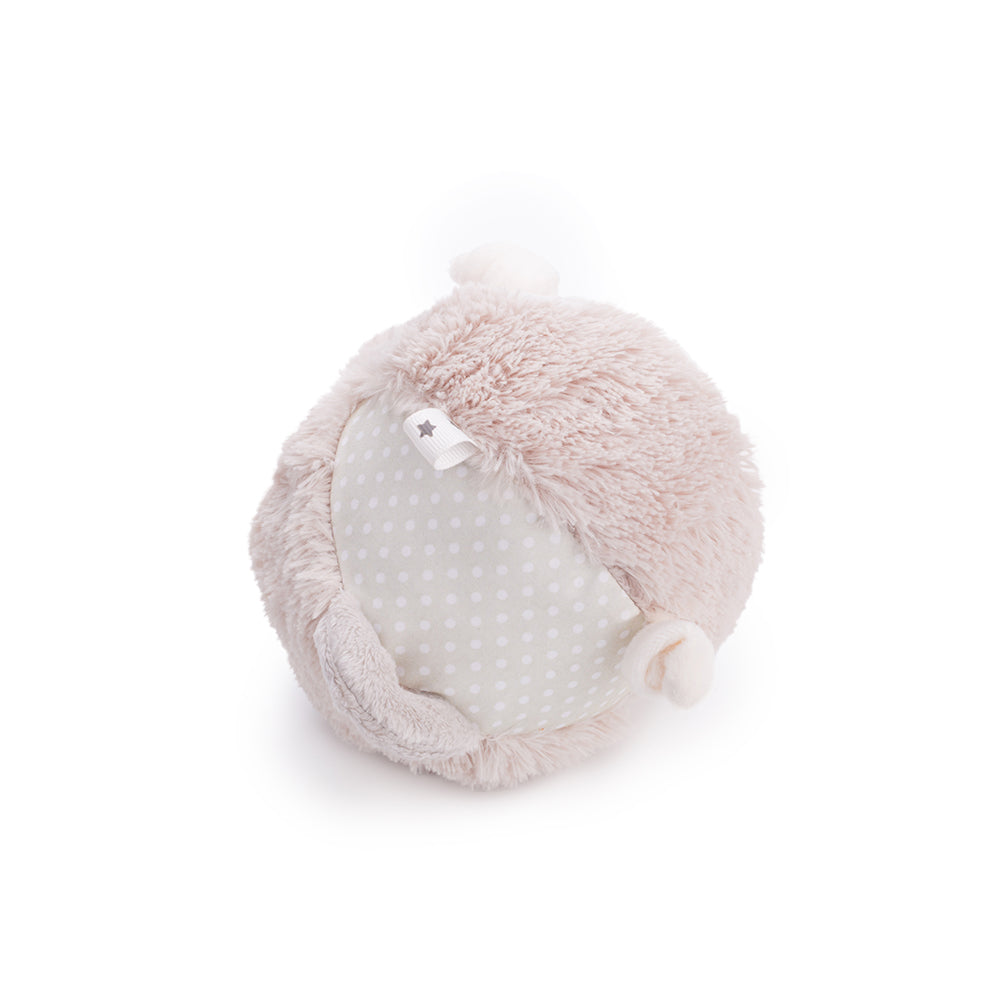Buddy Bear - Activity Ball