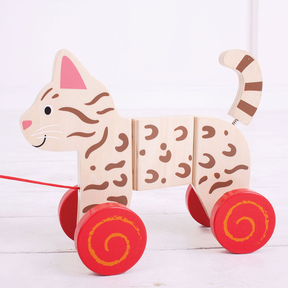 Cat Pull Along