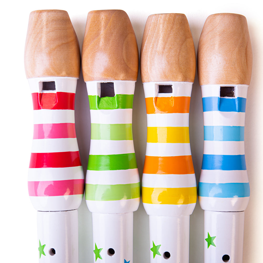 Recorder (One Supplied)