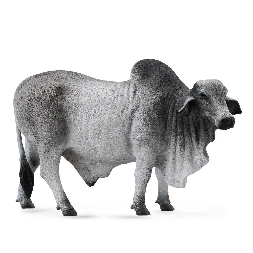 Brahman Bull Figurine CollectA Collectable Animal Figures Bigjigs Toys brahman-bull-figurine-collecta-collectable-animal-figures-bigjigs-toys