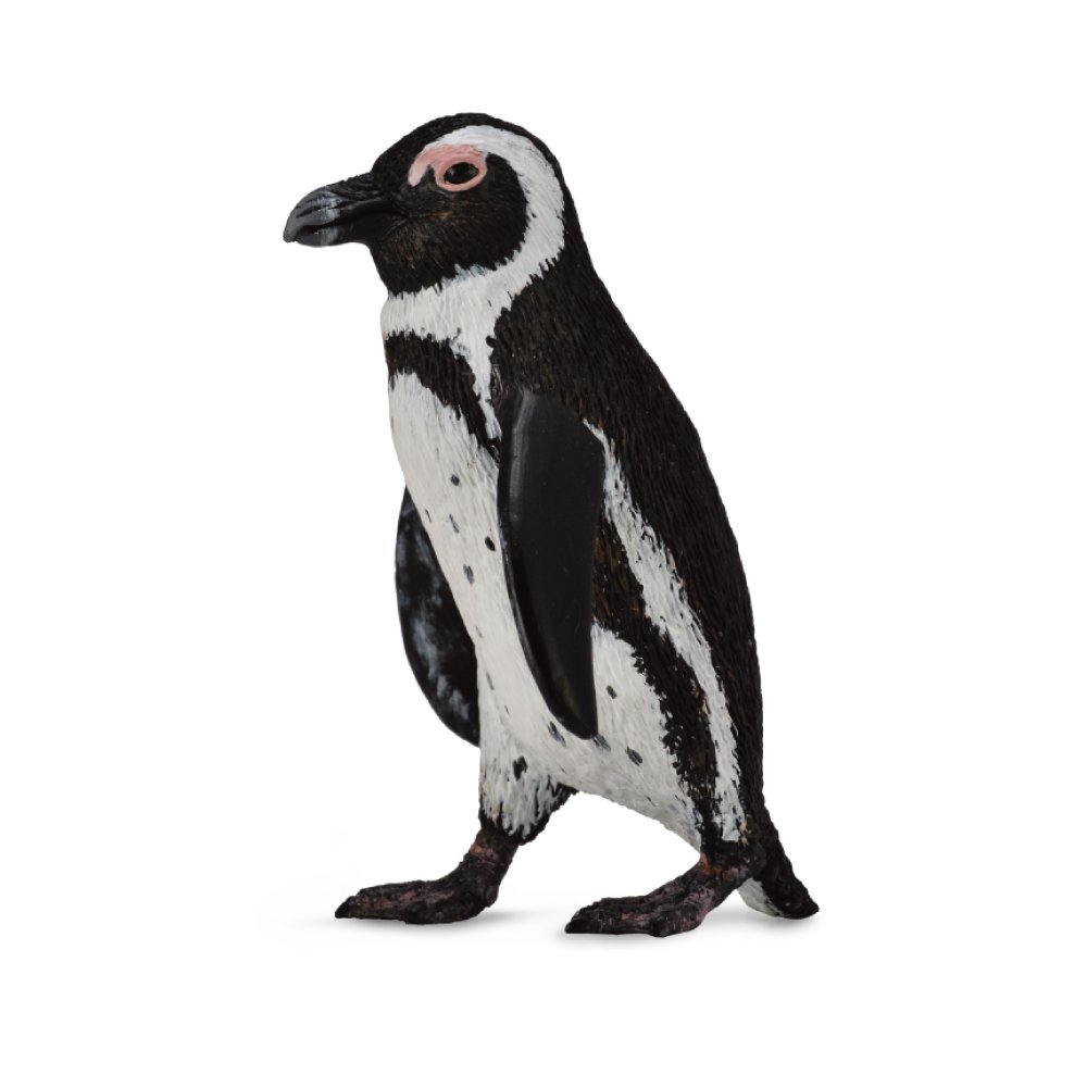 Collecta South African Penguin