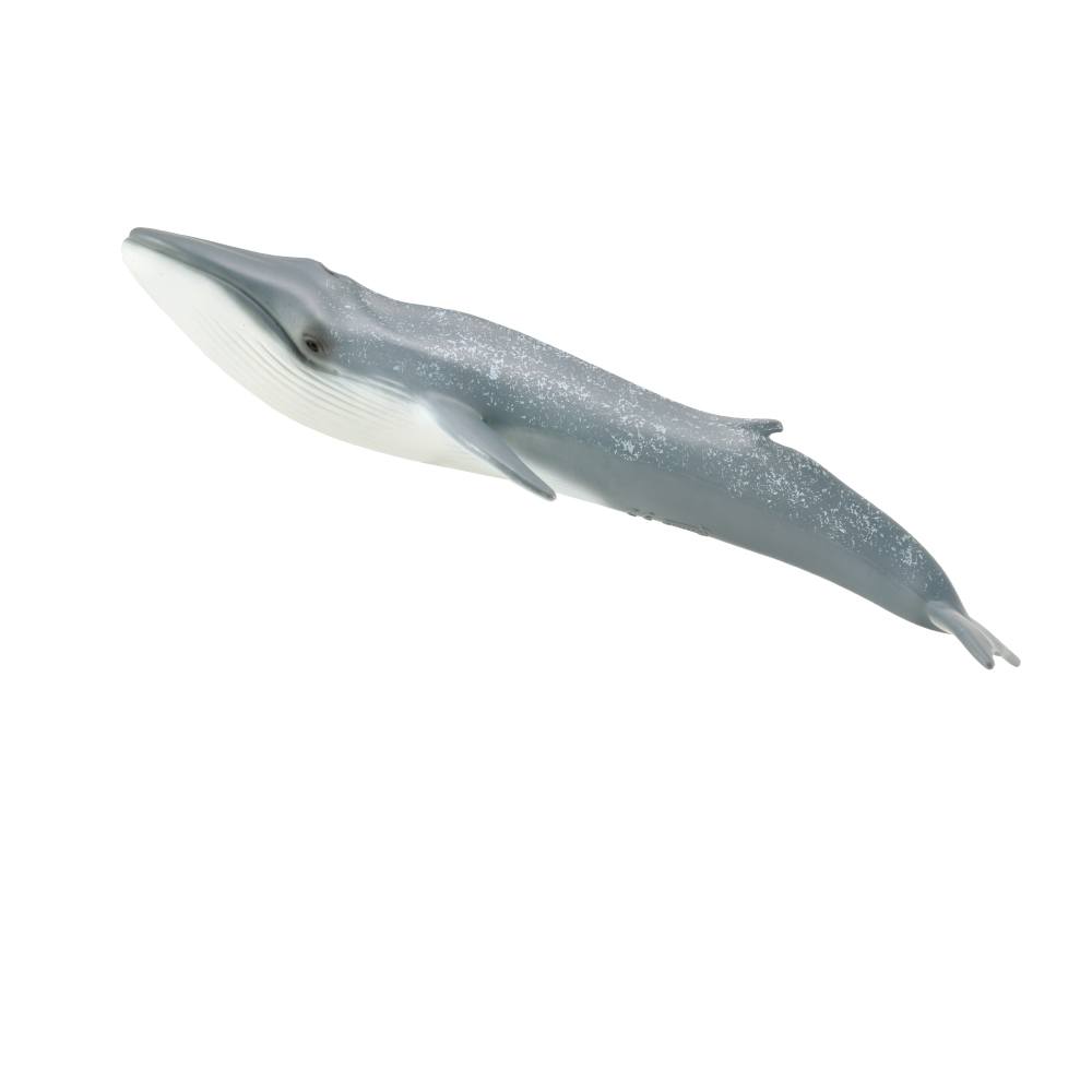 Collecta Blue Whale