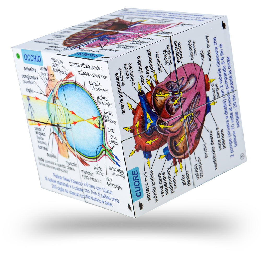 Human Body Cube Book - Italian