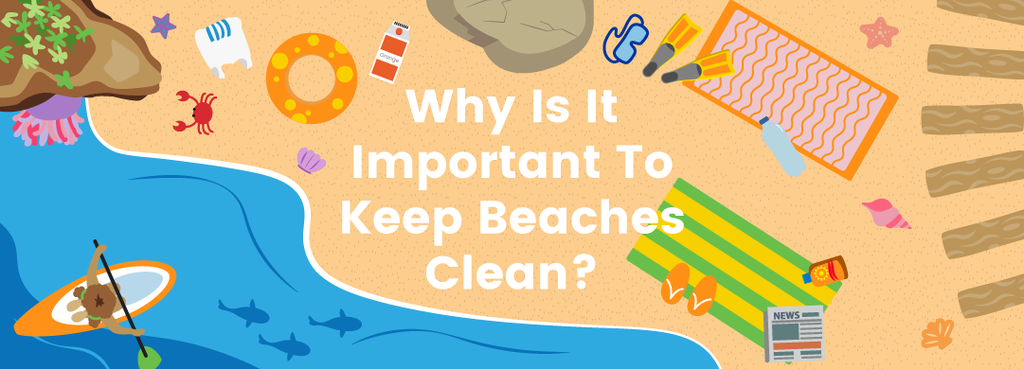 Why Is It Important To Keep Beaches Clean?