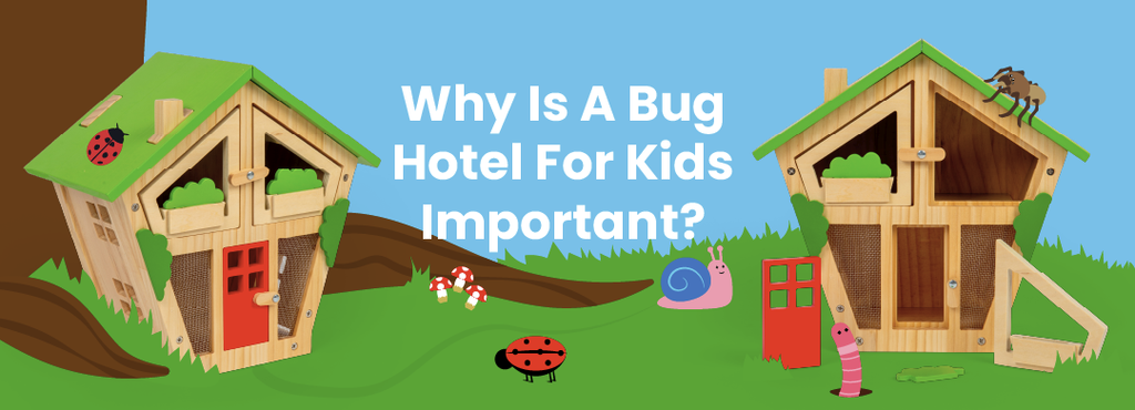 Why is A Bug Hotel For Kids Important? Cartoon beetle snail and grass images along with wooden bug house designs 