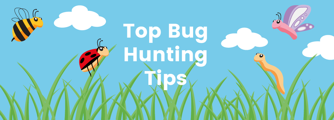 We're Going On A Bug Hunt! Top Bug Hunting Tips