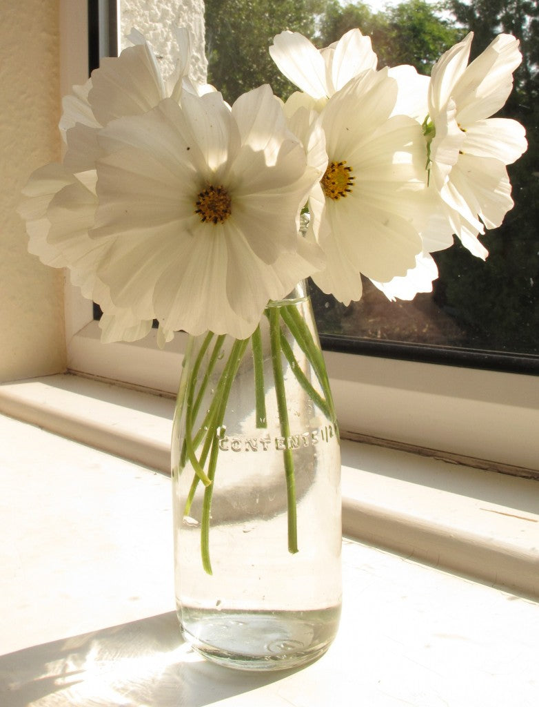 Gardening with children: sowing seeds with Mary Hamblyn