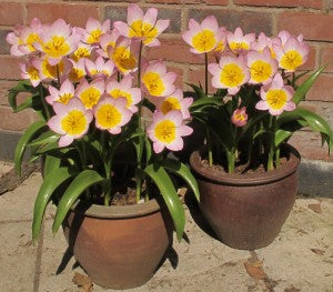 Get set for spring!