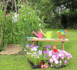 Having a gardening party
