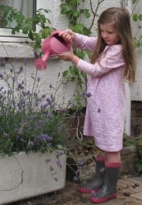 How to tempt butterflies to your garden