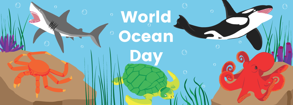 What Is World Ocean Day And Why Is It Important?