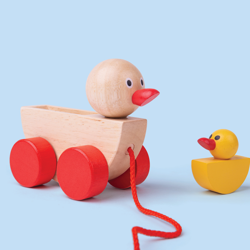 Push & Pull Along Toys