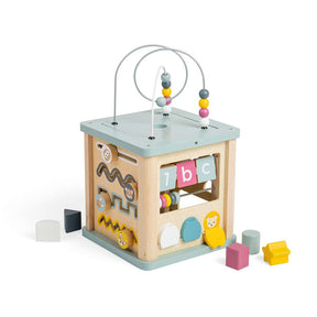 FSC® Certified Activity Cube