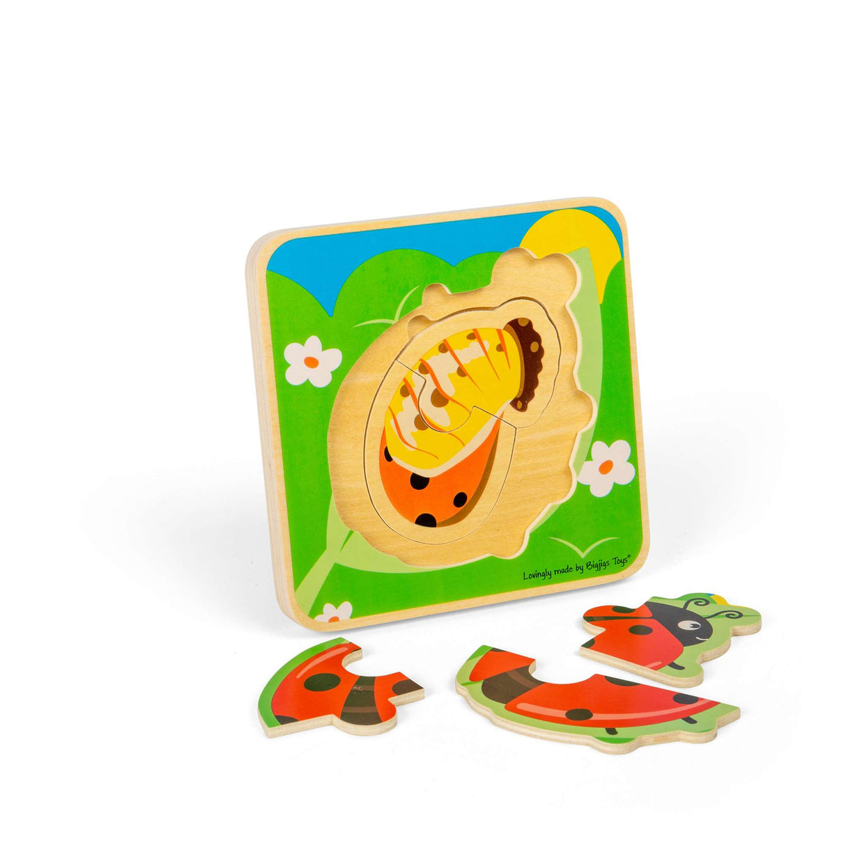 Lifecycle Layer Puzzle - Ladybug
