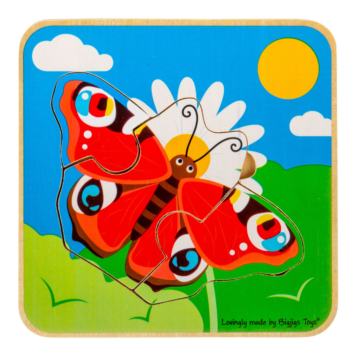 Lifecycle Layer Puzzle - Butterfly