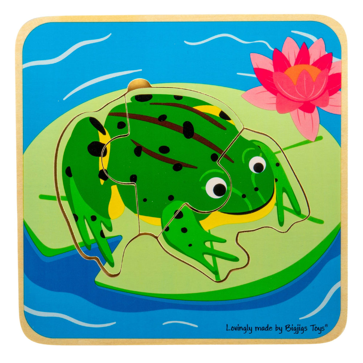 Lifecycle Layer Puzzle - Frog