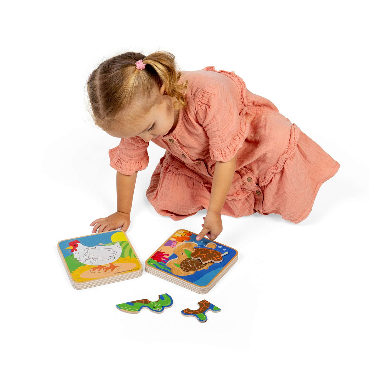 Lifecycle Layer Puzzle - Chicken