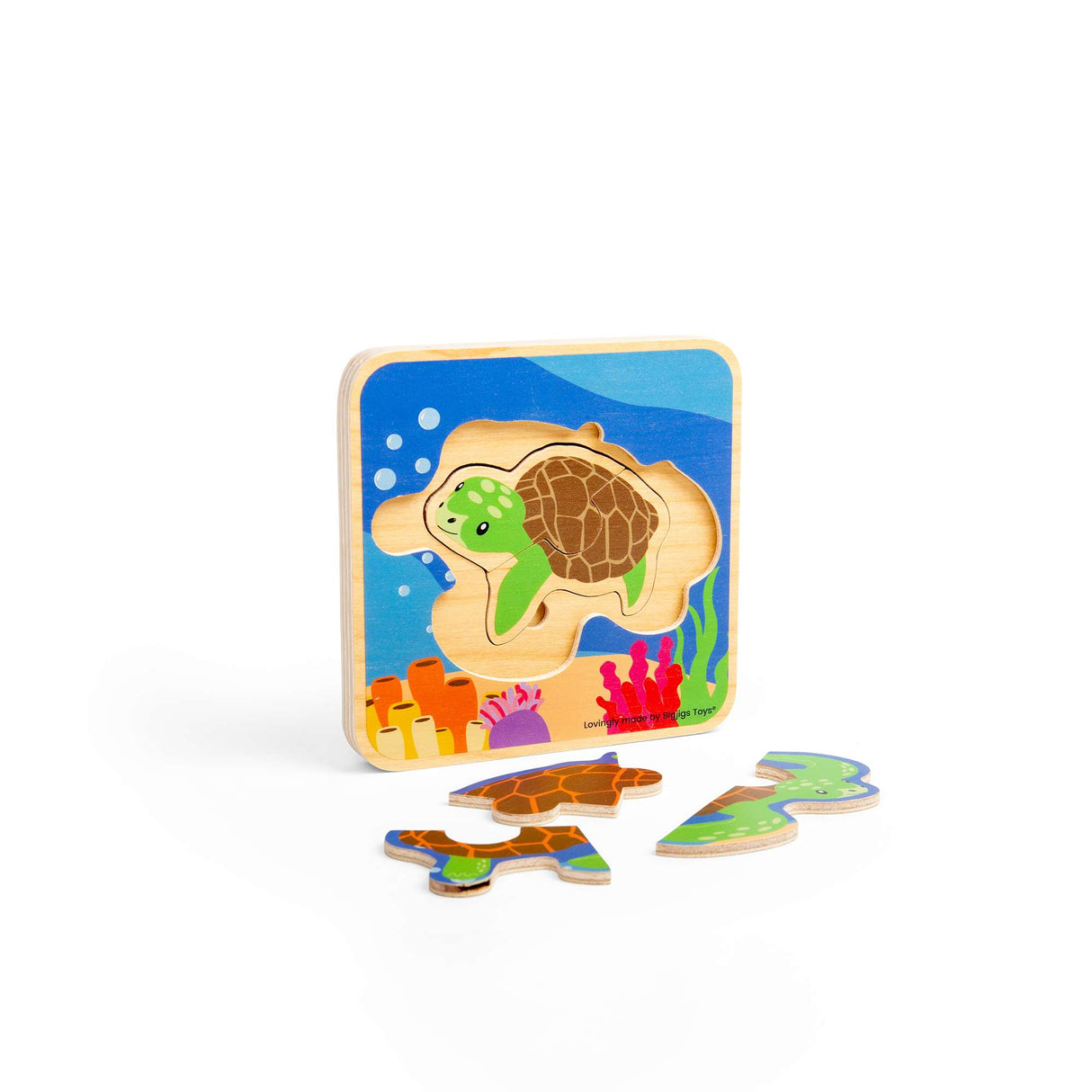 Lifecycle Layer Puzzle - Sea Turtle